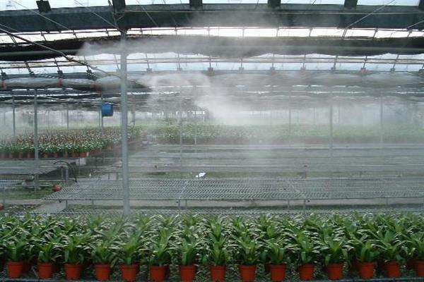 噴霧加濕設(shè)備|解決種植大棚濕度問題