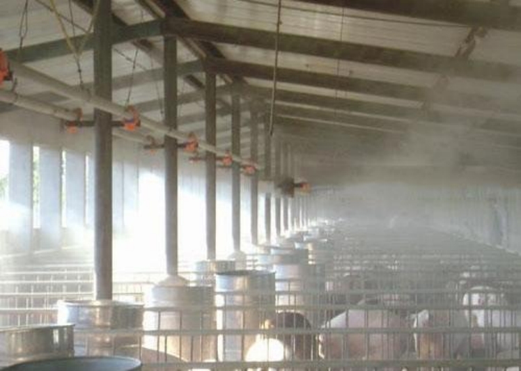 養(yǎng)豬場(chǎng)是如何進(jìn)行噴霧除臭的？