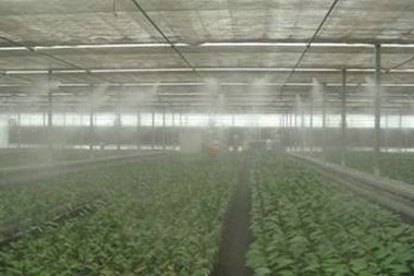 現(xiàn)代農(nóng)業(yè)種植對于工業(yè)加濕器的使用